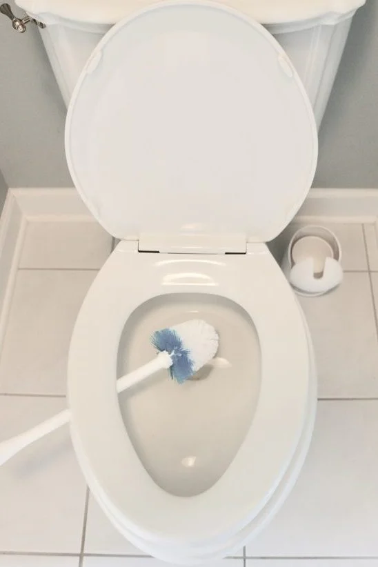 Toilet brush balancing underneath toilet seat to dry